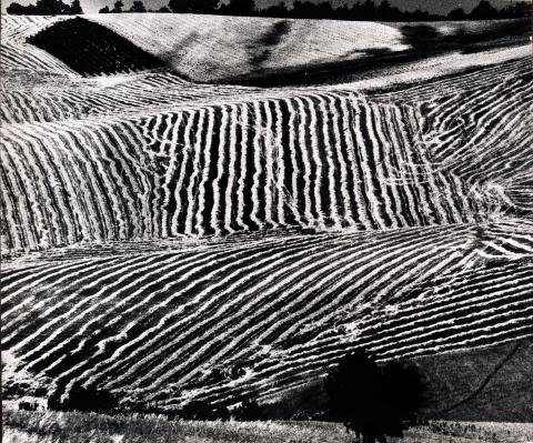 Mario Giacomelli - Per tutti la morte ha uno sguardo